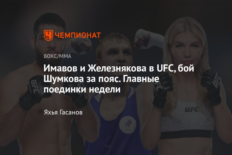 Бокс и мма