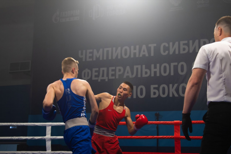 Бокс в россии