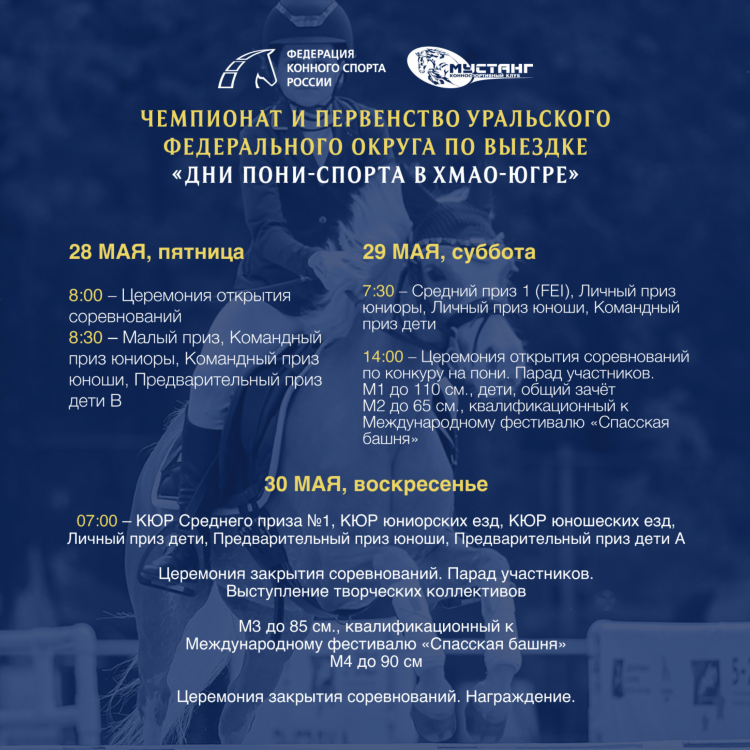 Чемпионат прямая трансляция