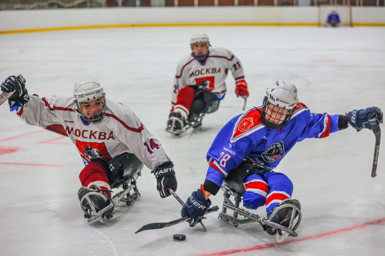 Чемпионат россии хоккей