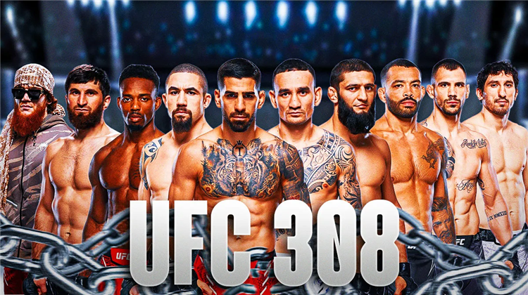 Матч боец ufc