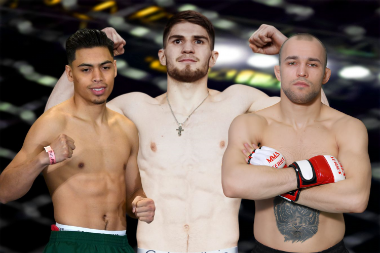 Mma официальный сайт