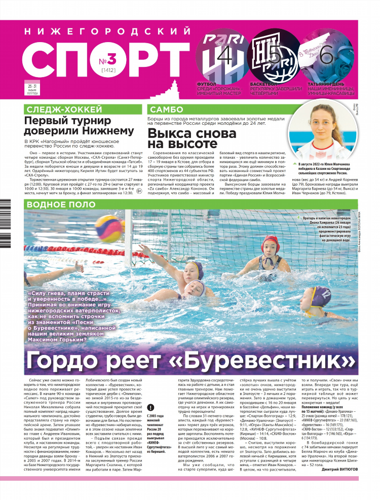 Пламя про витязь про волейбол