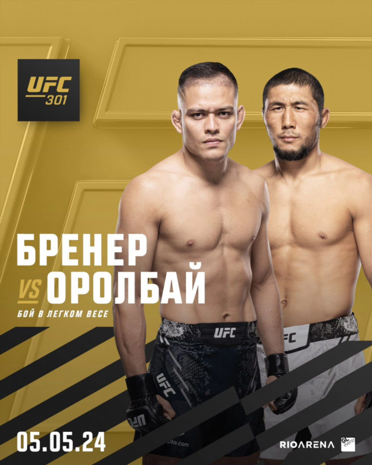 Следующий бой ufc