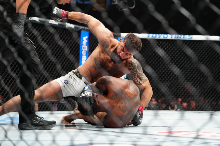 Смотреть бой ufc прямая трансляция сейчас