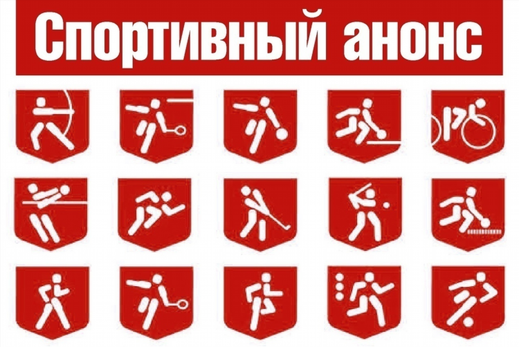 Спорт 24 онлайн