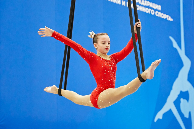 Спортивная гимнастика перевод