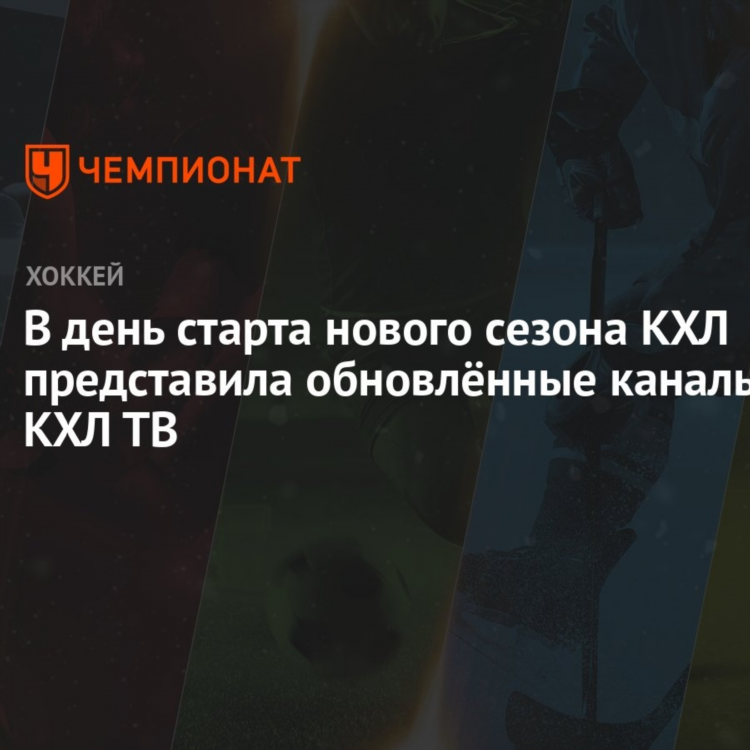 Тв программа кхл на завтра