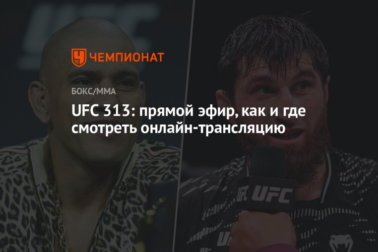 Ufc прямой эфир сейчас матч тв